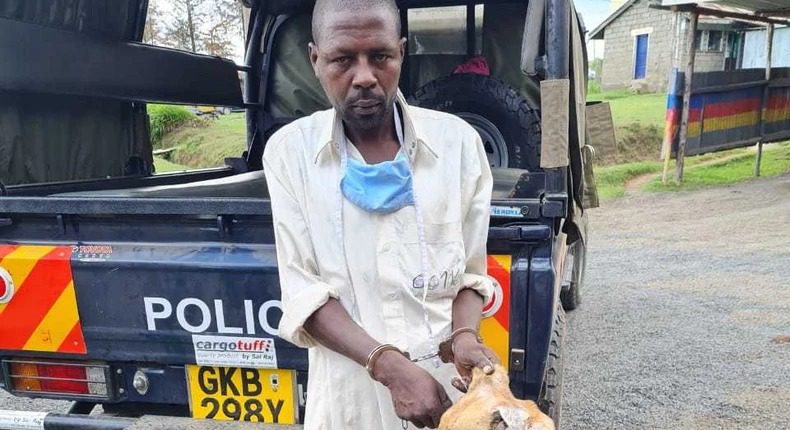 Samosa made from Dog meat on sale in Nyandaru County: Police raise alarm
