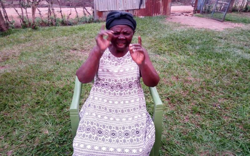 Homa Bay woman scolding Chebukati over 2017 presidential results 