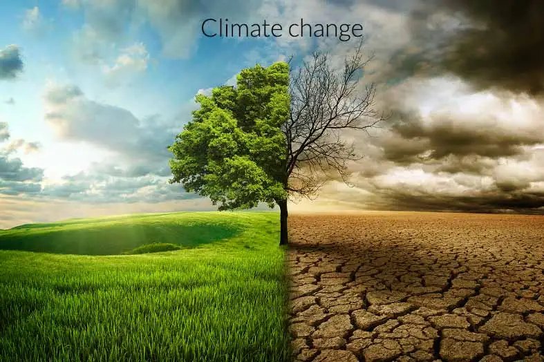 Climate change impact on business and food crisis