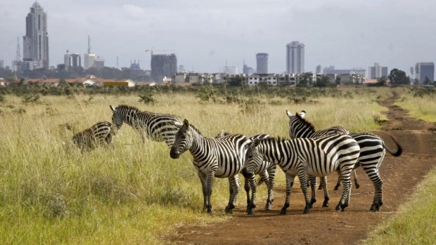 KWS to increase Park entry fees