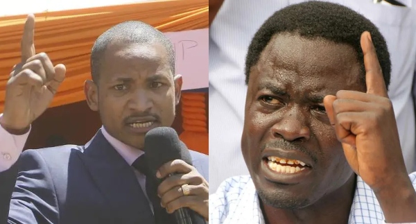 Babu Owino, Peter Kaluma in fight as ODM party expands