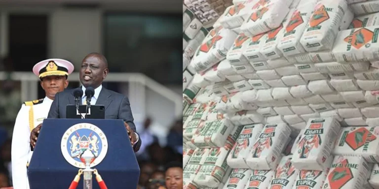 Ruto to support farmers instead of subsidizing  unga cost