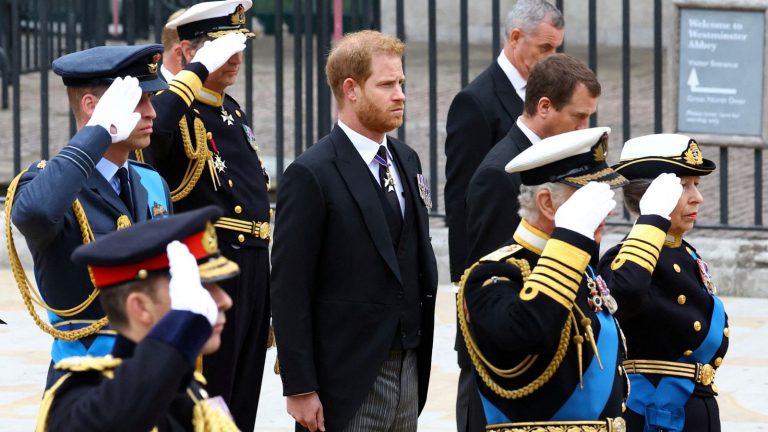 Why Harry and Andrew did not salute the Queen’s Coffin