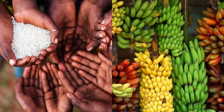 WFB Charting Way to Zero-Hunger Challenge Globally