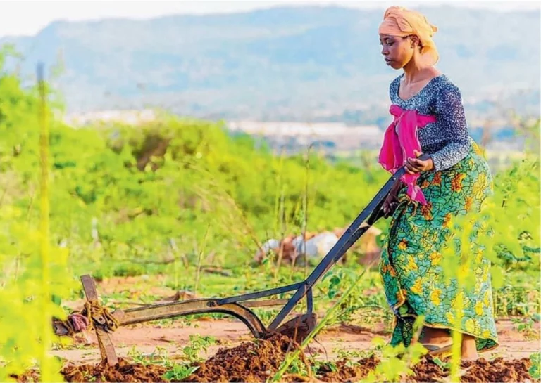 Women, Youth, and Smart Agriculture in Africa