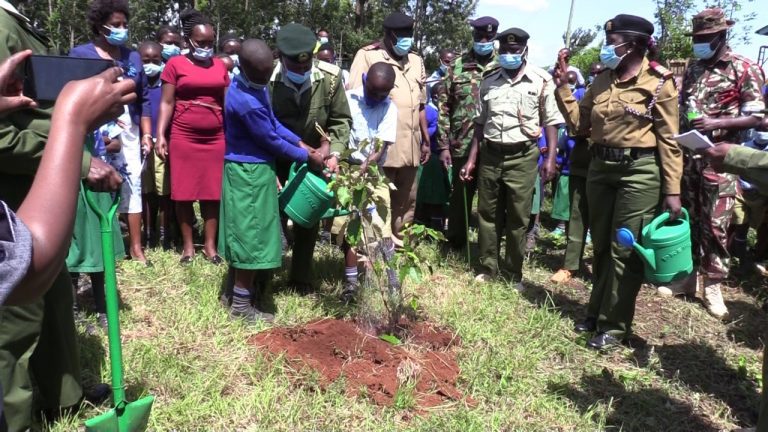 Kenya’s Devolved Government Should Address Environmental Conservation