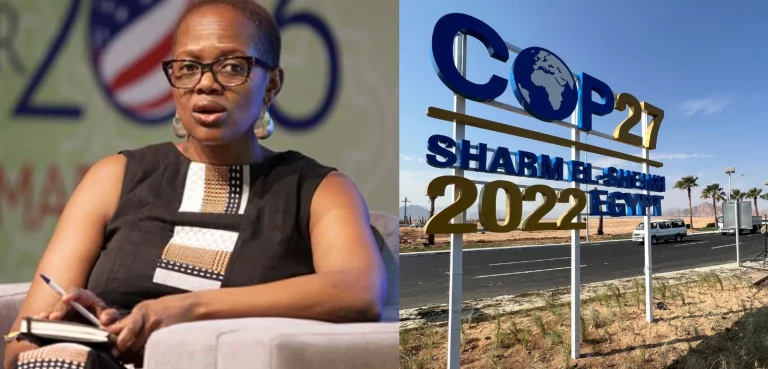 Wanjira Maathai: Climate Finance is the biggest issue at COP 27