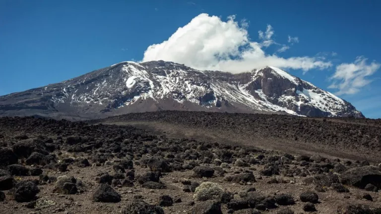 Mt Kilimanjaro, Mt Kenya Among Mountains that Stand to Lose their Snow by 2050