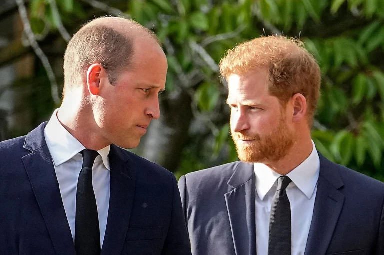 Harry’s New Memoir ‘Spare’ Points at William as his 2019 Physical Attacker