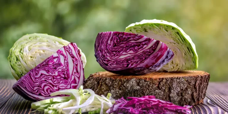 Amazing Benefits  of Eating Cabbage  you don’t know about