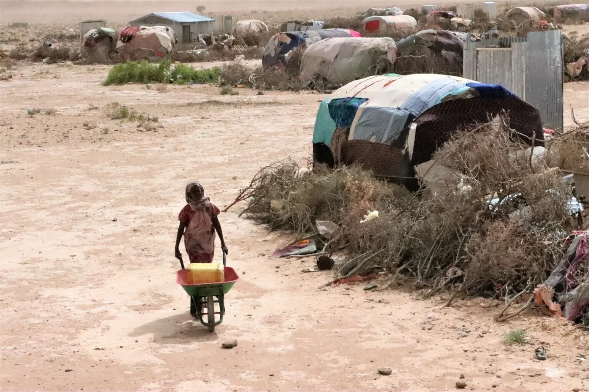 Drought Hits Hard, Horn of Africa on Track for 6th Failed Rain Season