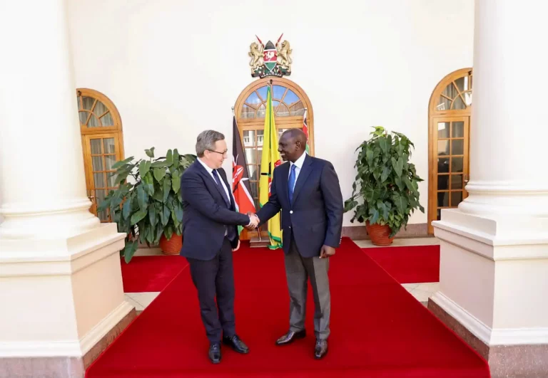 Ruto Meets Finland’s Minister at State House for Economic Talks
