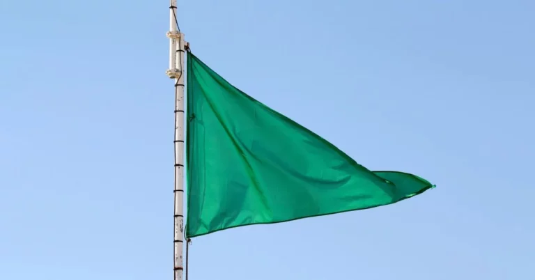 Green flags to look out for in a relationship