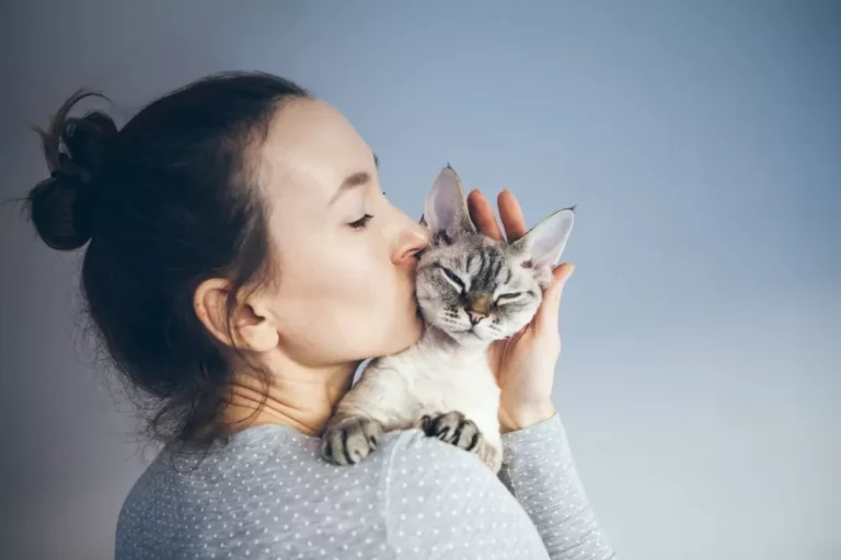 Woman Divorces Husband after he gives away her cat to an animal shelter without her consent