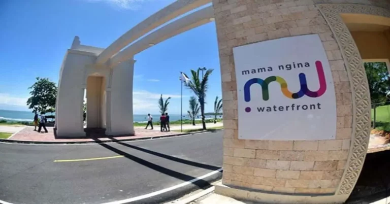 Mama Ngina waterfront becomes a market for trading sexual favours
