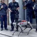 Robot dog