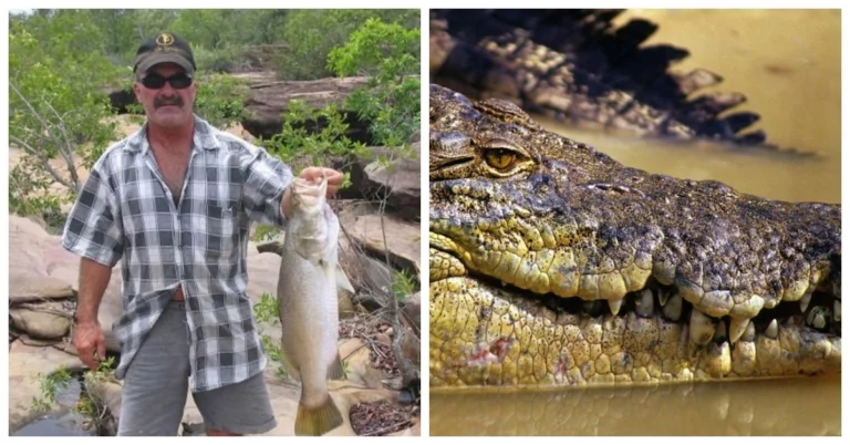 Body of missing Fisherman found inside Crocodile