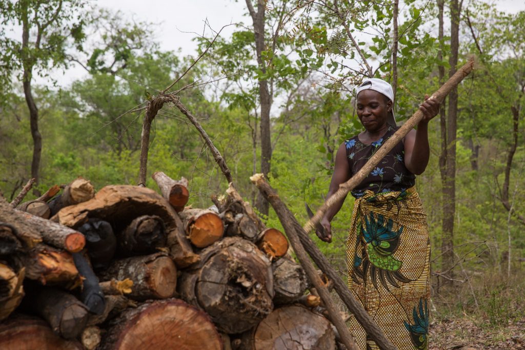 Tanzania Launches Urgent Measures to Combat Alarming Deforestation Crisis.
