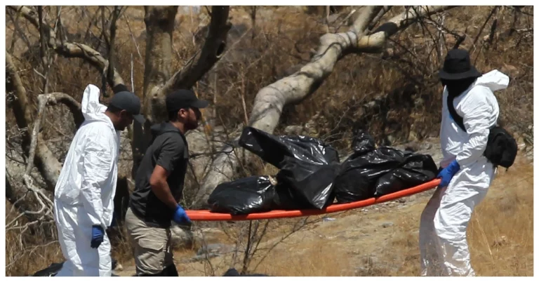 Police Recover 45 Bags Filled with Human Remains in Mexico