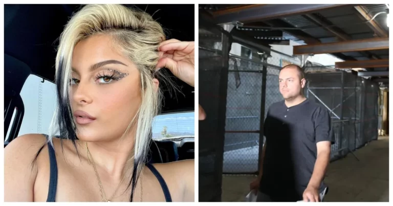 Bebe Rexha: Fan Charged For Hitting Singer at NYC Concert