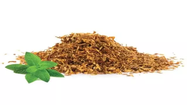 Tobacco Production in Zimbabwe Hits High Record.