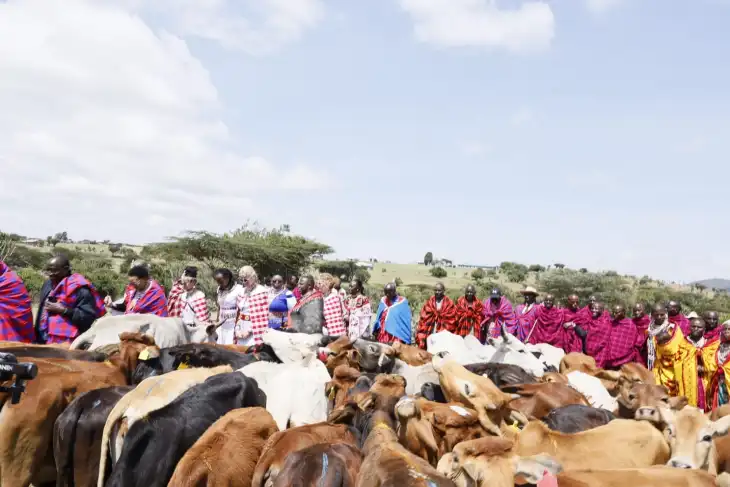 Oxford University Offers Cows to the Maasai Community as Reparations