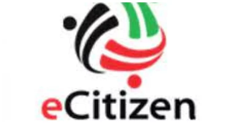 eCitizen: Kenyans  Experience Delays, ICT CS Confirms Cyber Attack