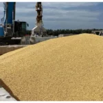 President Putin supplys grain to Africa