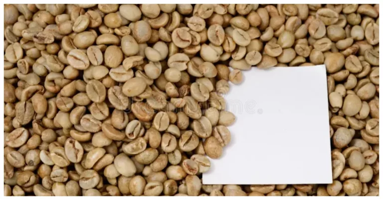 Uganda: Quality and Innovation Fuel Growth in the Coffee Industry