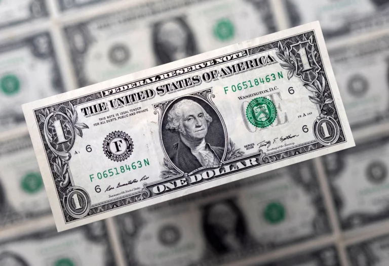 Businesses Start Charging in Dollars due to Weakening shilling