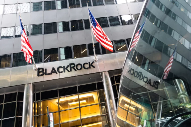 BlackRock :Company with the Largest Shareholding in the World