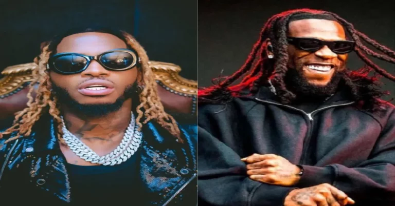 Diamond And Burna Boy Controversy Of Copied Music and Sampling
