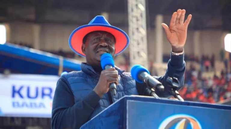Raila Challenges Reduction of the Cost of Unga
