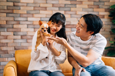 Unleashing Potential: Asia’s Pet Industry Blooms with Passion and Promise