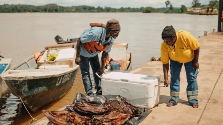 Zambian Fishermen Fights Climate Crisis with Innovative Approaches
