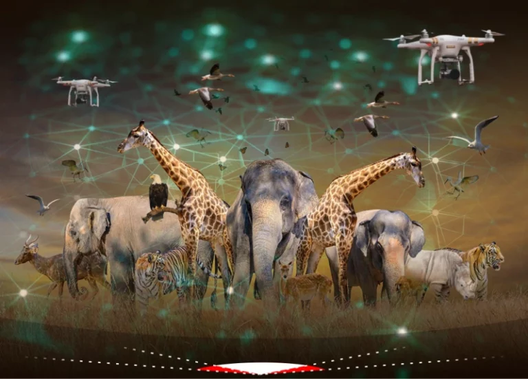 Using AI to Protect Wildlife: A Conservation Breakthrough