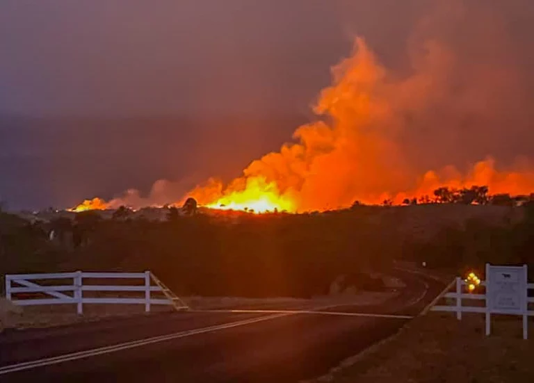 The Hawaiian Apocalypse: Devastating Forest Fire in the North