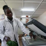 A Kenyan graduate student works at the China-Kenya Belt and Road Joint Laboratory on Crop Molecular Biology at Egerton University in Nakuru County, Kenya, on Sept. 18, 2023. (Xinhua/Han Xu)