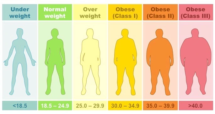Reasons Your BMI Might be High, Even if You’re Healthy