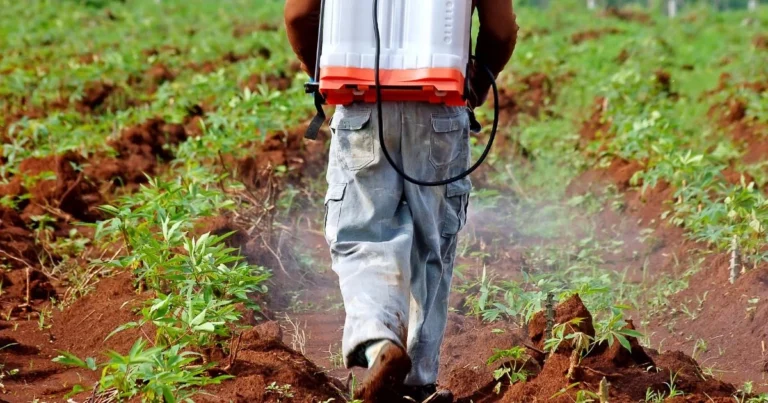 Pesticides Misinformation: Regulatory Bodies Addresses Allegation