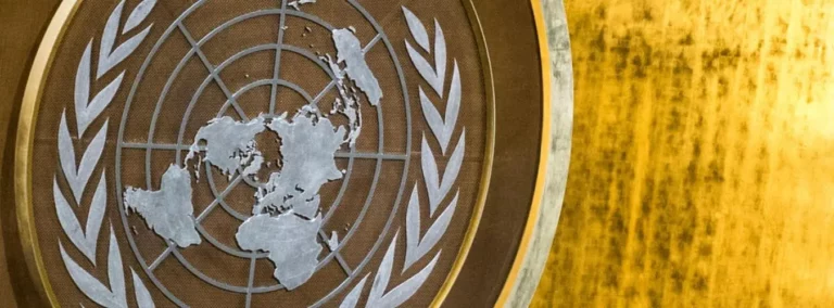 Has the United Nations Lived Up to Its Expectations?