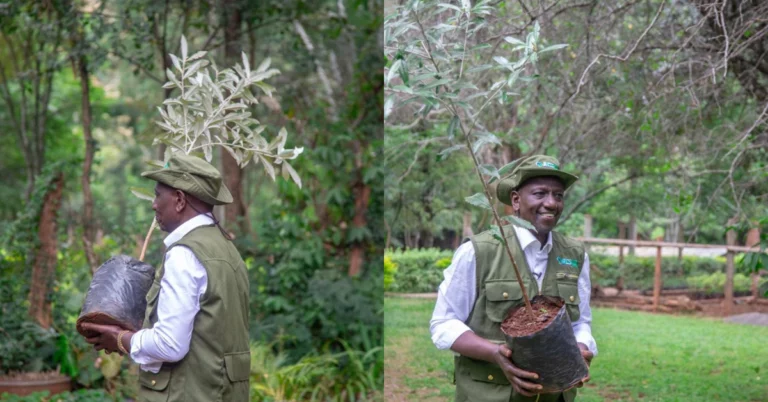 Kenyans are More Excited Over Climbing Compared to Planting Trees