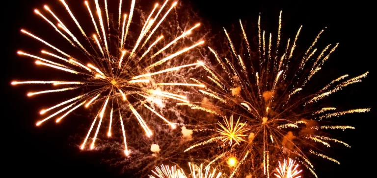 Diwali: Government Issues New Regulations for Fireworks Celebrations