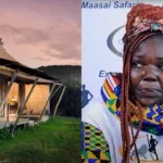 Rosie Maasai Mara collage