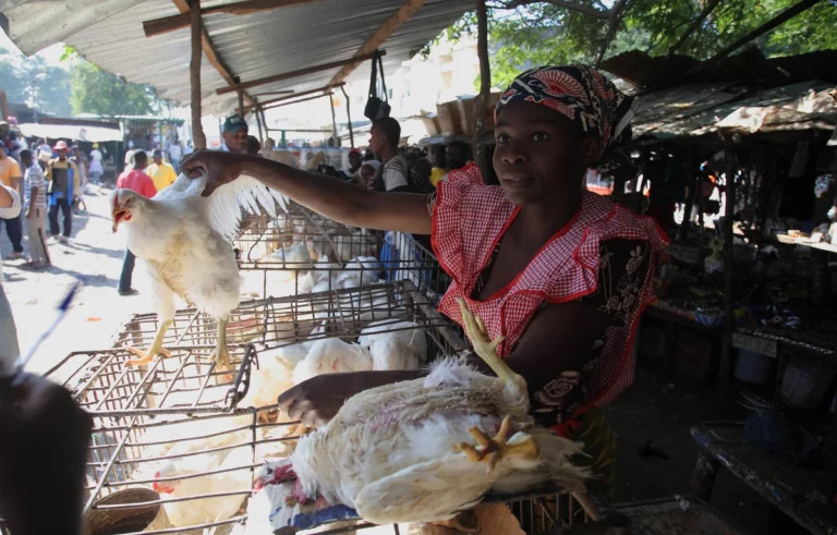 AU and ILRI Collaborate to Enhance Food Safety in Africa’s Informal Sector