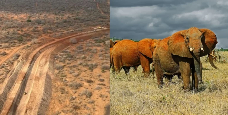 KWS Refutes Claims of Mining in Tsavo National Park, So What’s the Big Fuss?