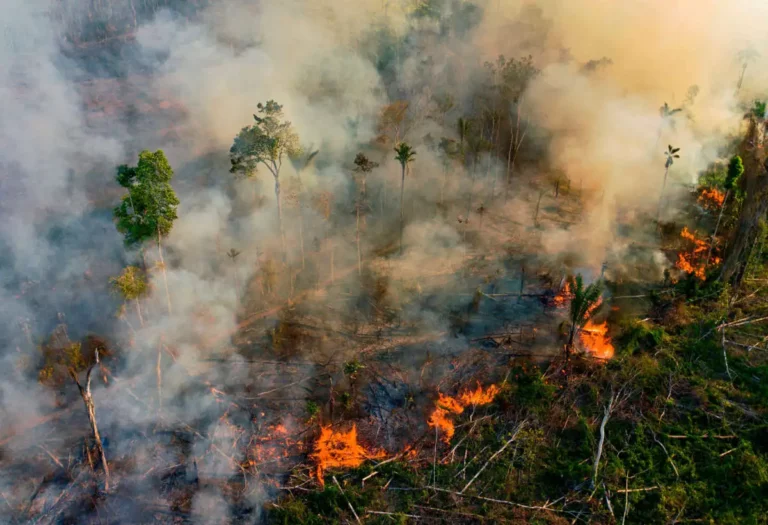 Wildfire Smoke from the Amazon Engulfs Brazil