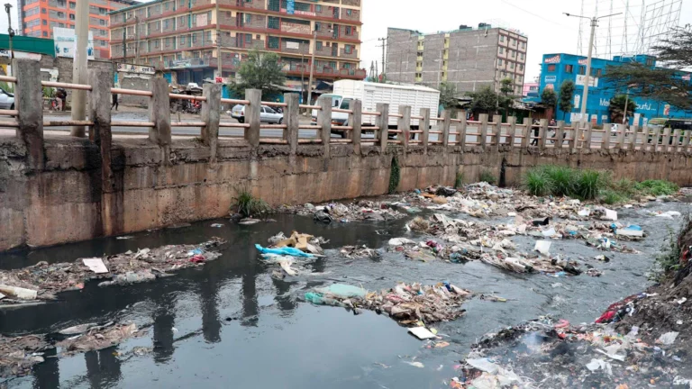 Ruto Launches Project to Clean Nairobi River in 1 Year