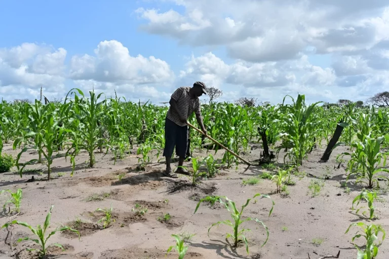 Unity Against Controversial Agricultural Bills in Kenya