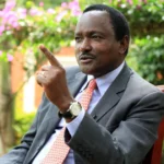 Kalonzo-Musyoka-Wiper-Leader-og_image